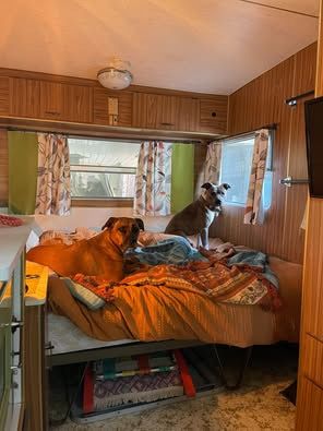 1976 Franklin HUNTER Full Caravan image