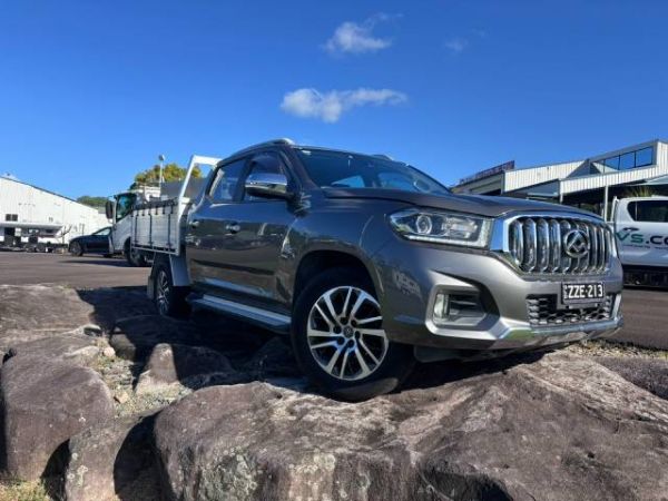 2019 Ldv T60 LUXE MEGA TUB DUAL C SK8C image